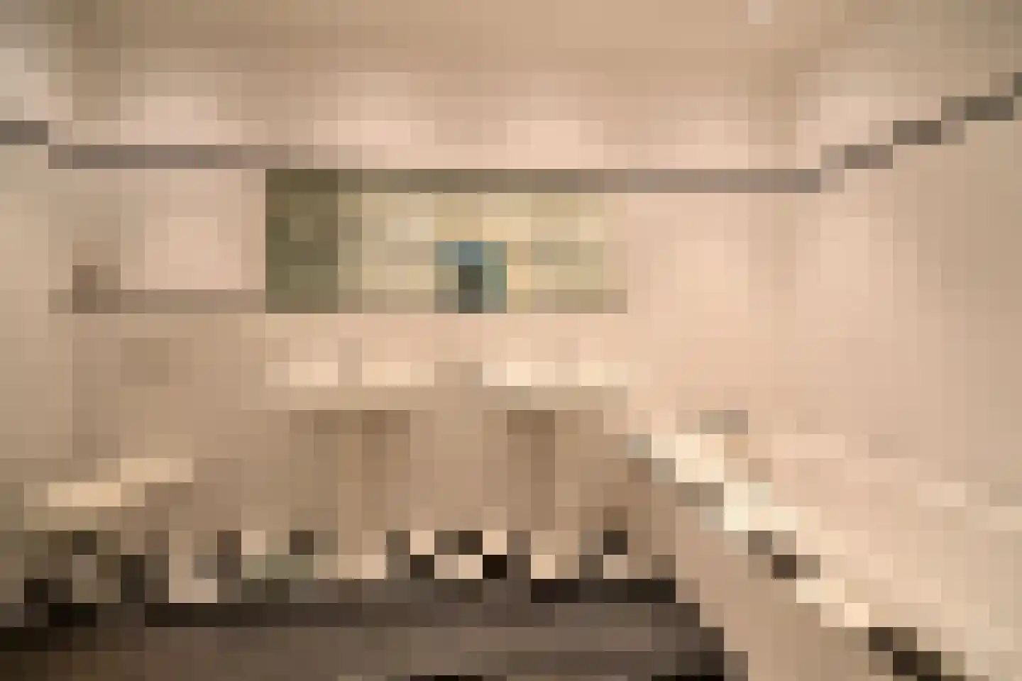 Labradorstroom 91 Huizen thumbnail 16