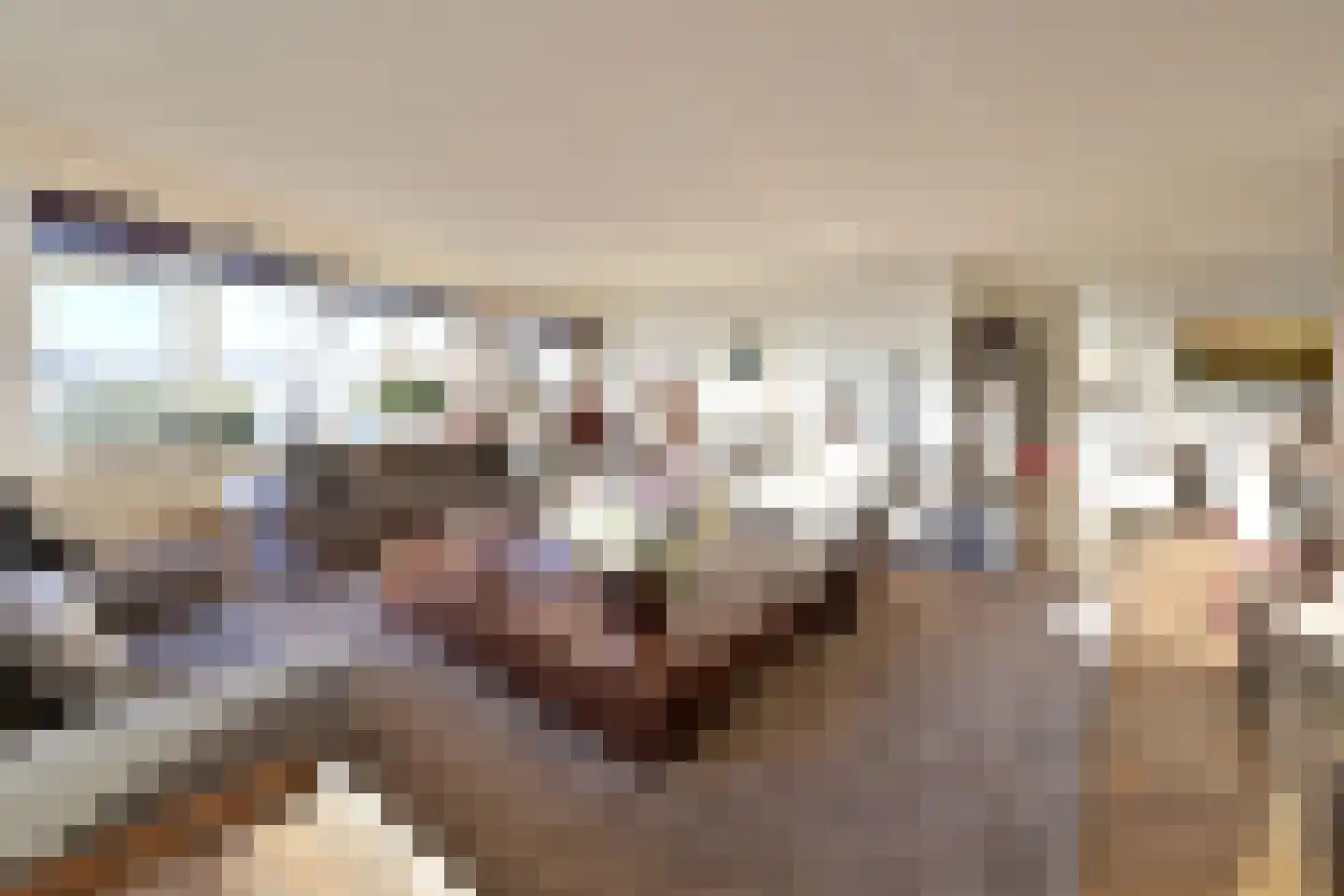 Labradorstroom 91 Huizen thumbnail 5