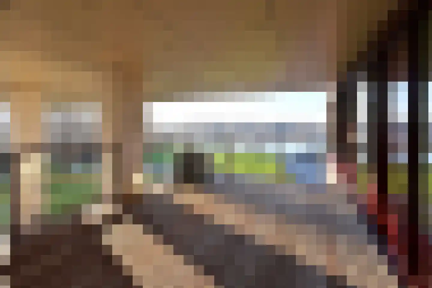 Labradorstroom 91 Huizen thumbnail 7