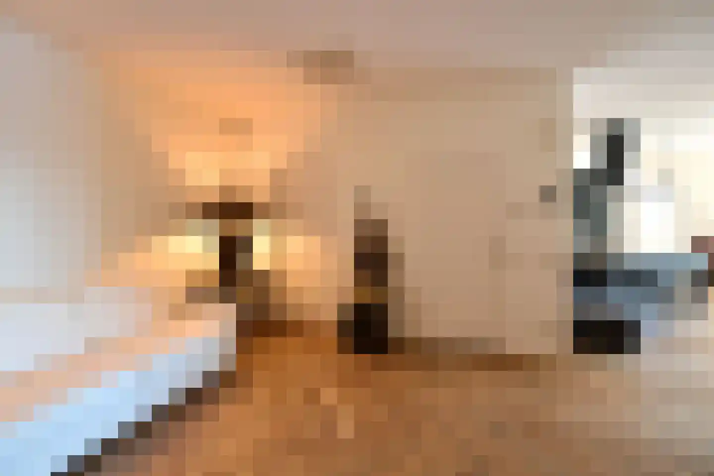 Labradorstroom 91 Huizen thumbnail 8