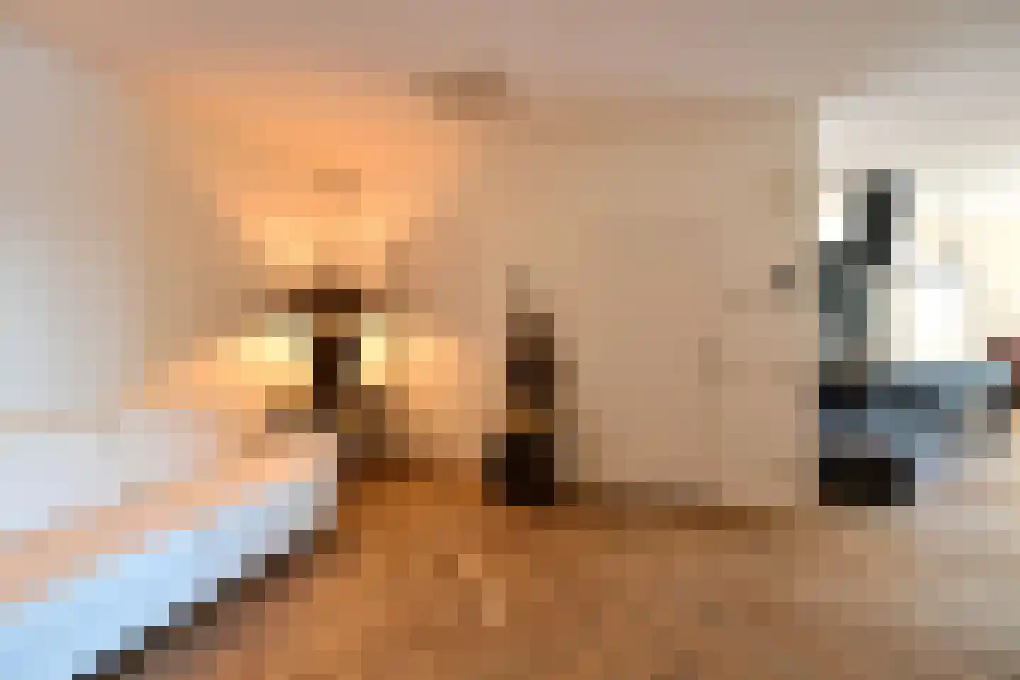 Labradorstroom 91 Huizen thumbnail 8