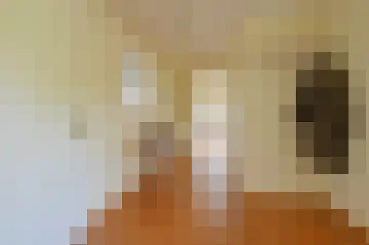 Labradorstroom 93 Huizen thumbnail 11