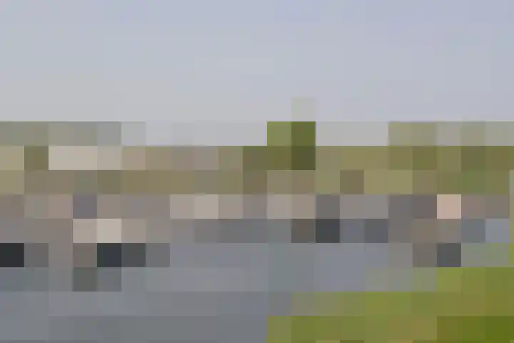Labradorstroom 93 Huizen thumbnail 4