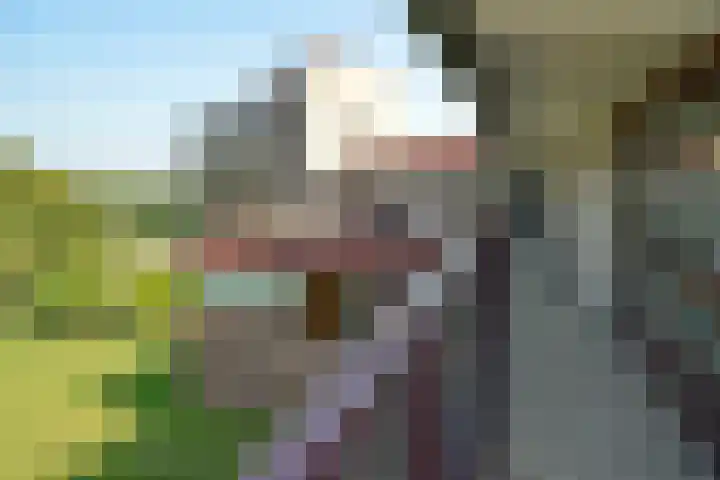 Labradorstroom 93 Huizen thumbnail 6