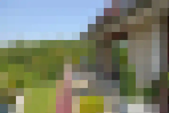 Labradorstroom 93 Huizen thumbnail 7