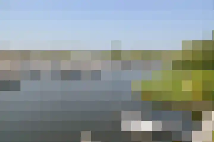 Labradorstroom 93 Huizen thumbnail 8