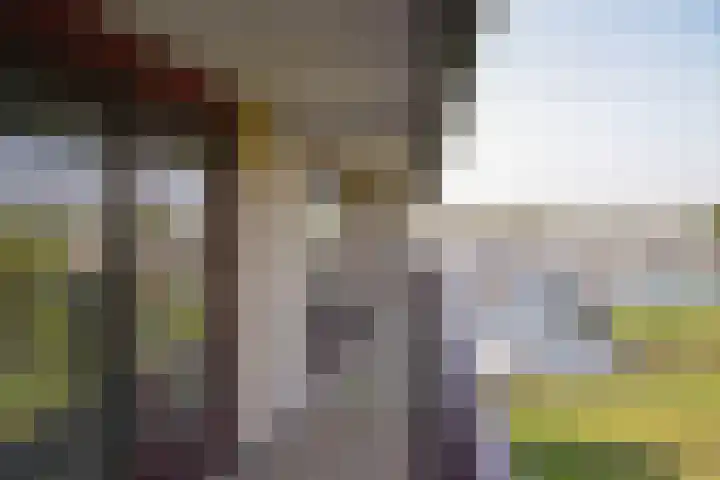 Labradorstroom 93 Huizen thumbnail 9