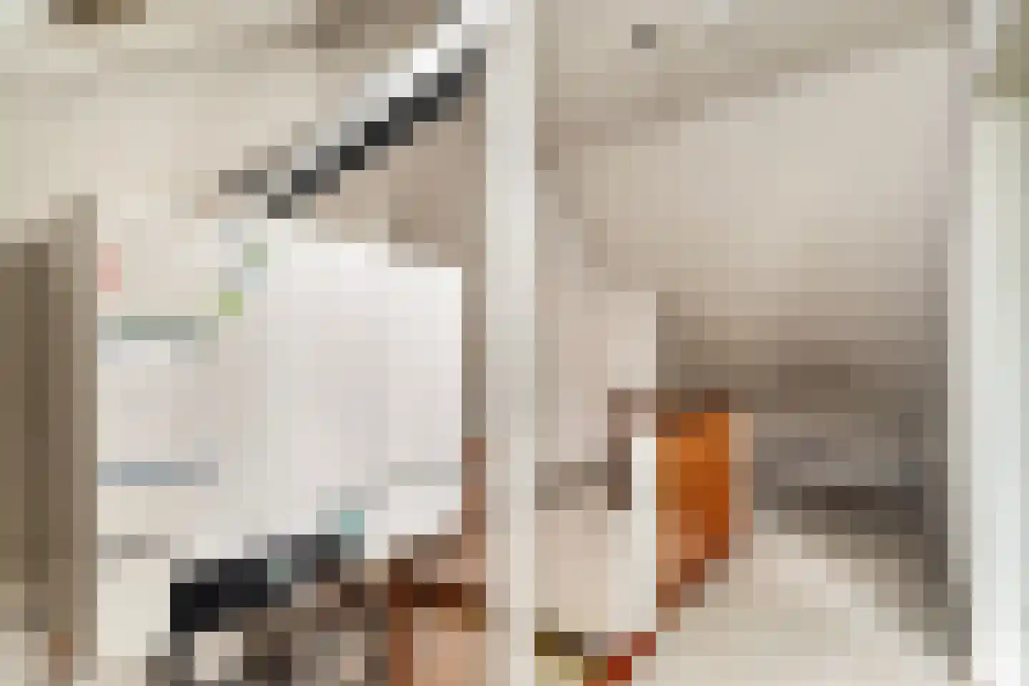 Labriehof 13 Dieren thumbnail 28