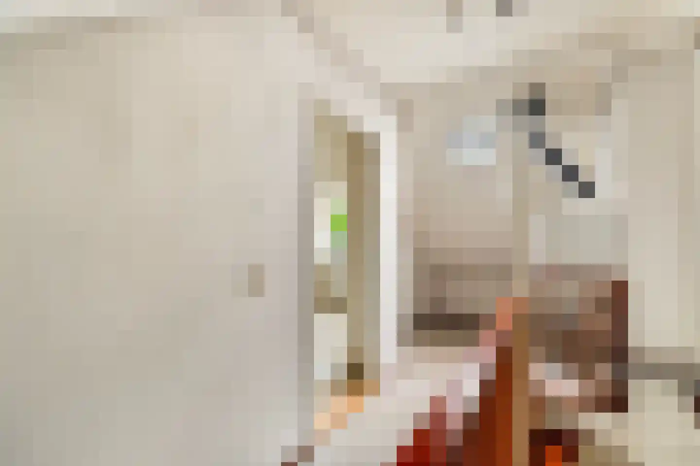 Labriehof 13 Dieren thumbnail 29