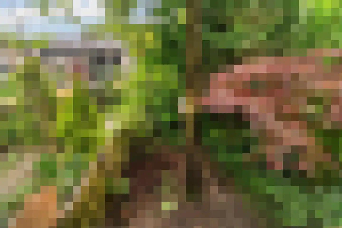Labriehof 13 Dieren thumbnail 30