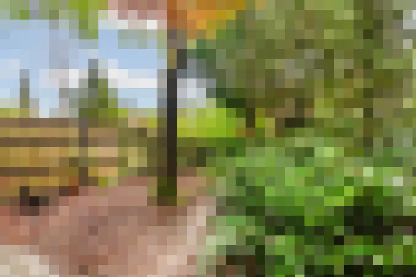 Labriehof 13 Dieren thumbnail 31