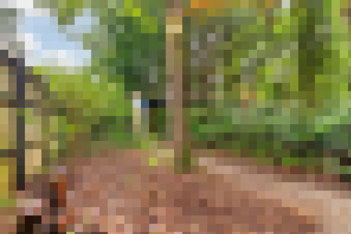 Labriehof 13 Dieren thumbnail 32