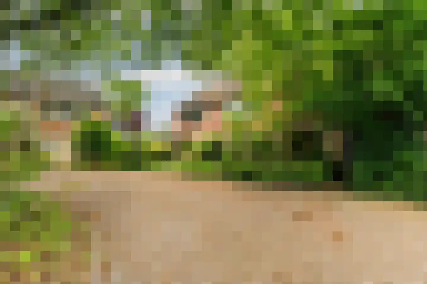 Labriehof 13 Dieren thumbnail 39