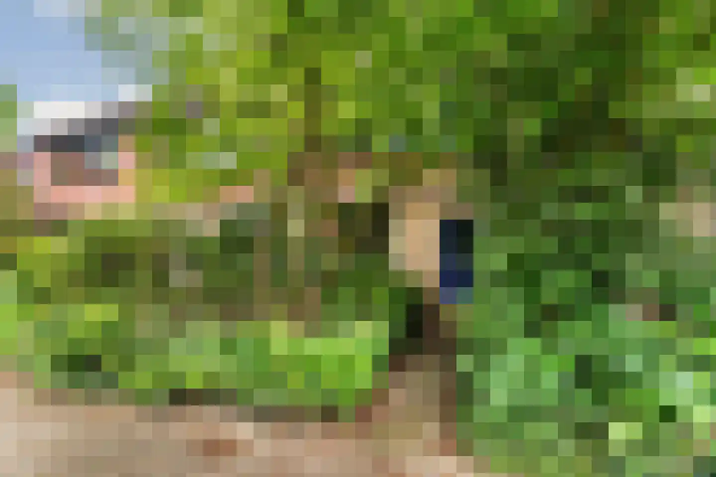 Labriehof 13 Dieren thumbnail 40