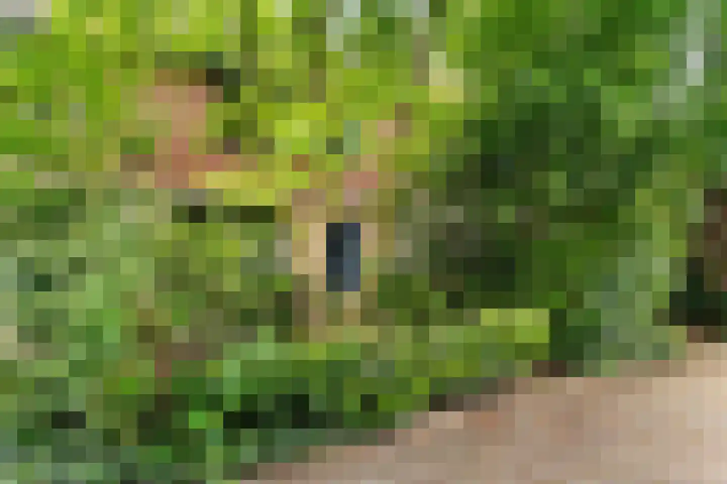 Labriehof 13 Dieren thumbnail 41
