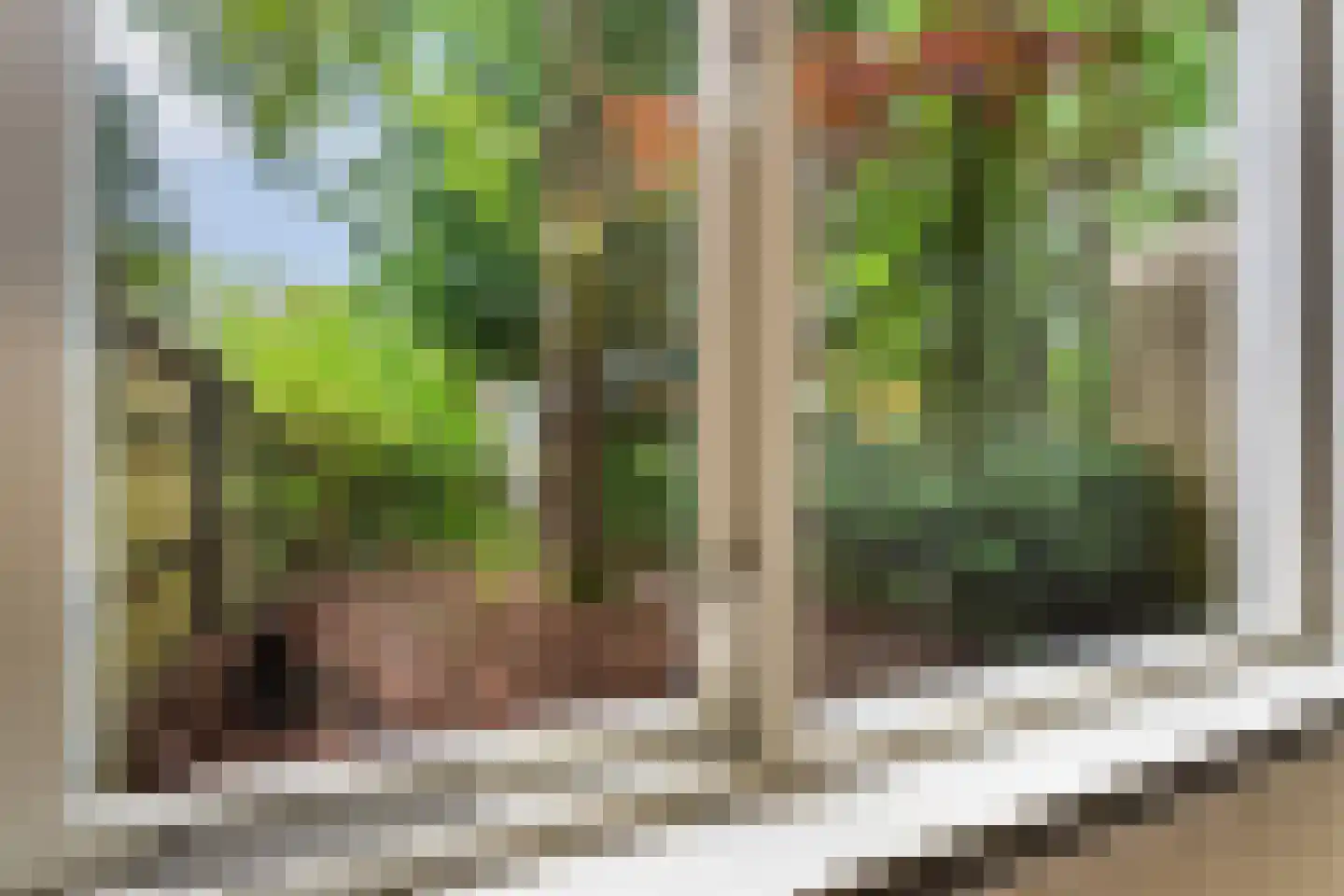 Labriehof 13 Dieren thumbnail 8