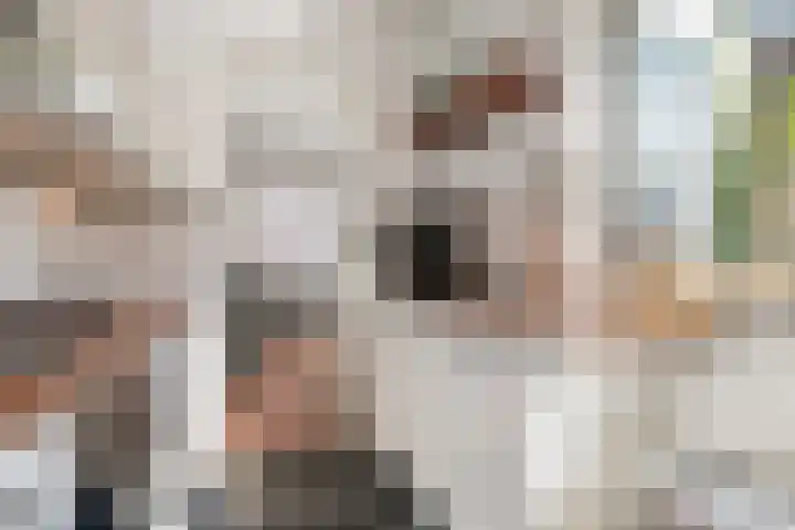 Labrijnstraat 6 Pernis Rotterdam thumbnail 11