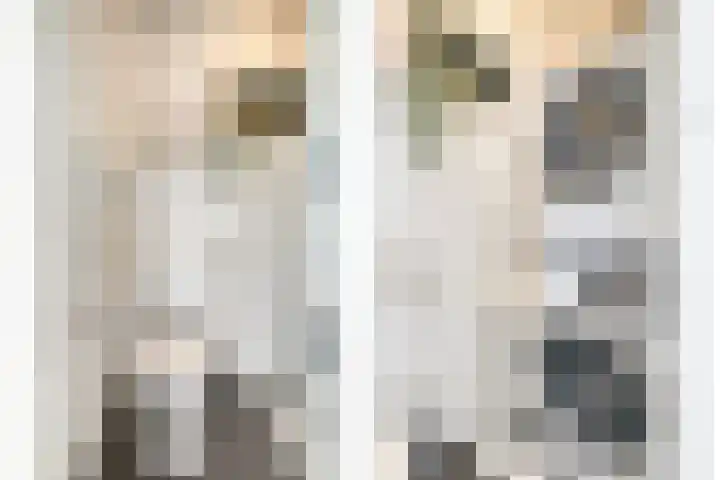 Labrijnstraat 6 Pernis Rotterdam thumbnail 12