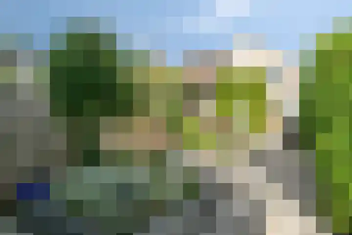 Labrijnstraat 6 Pernis Rotterdam thumbnail 27