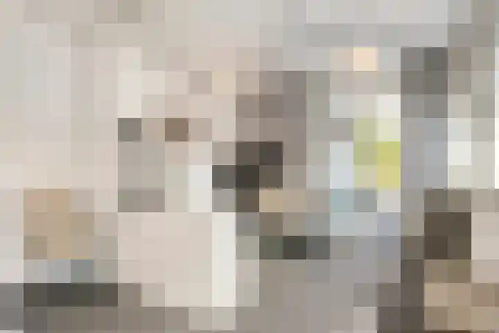 Labrijnstraat 6 Pernis Rotterdam thumbnail 29