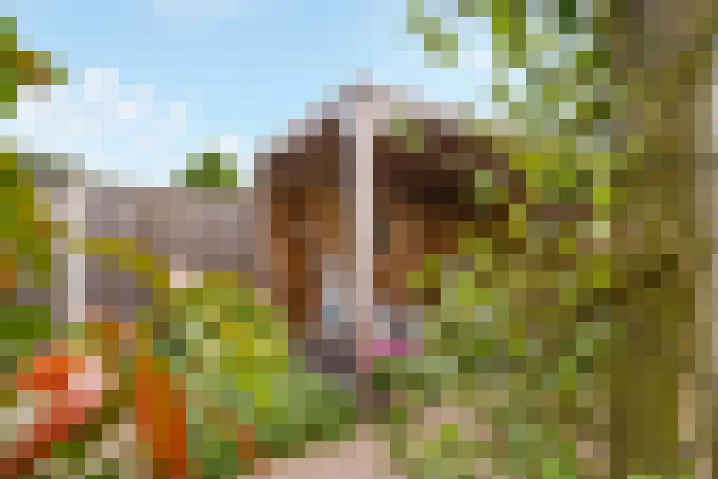 Labyrintstraat 9 Zwolle thumbnail 35