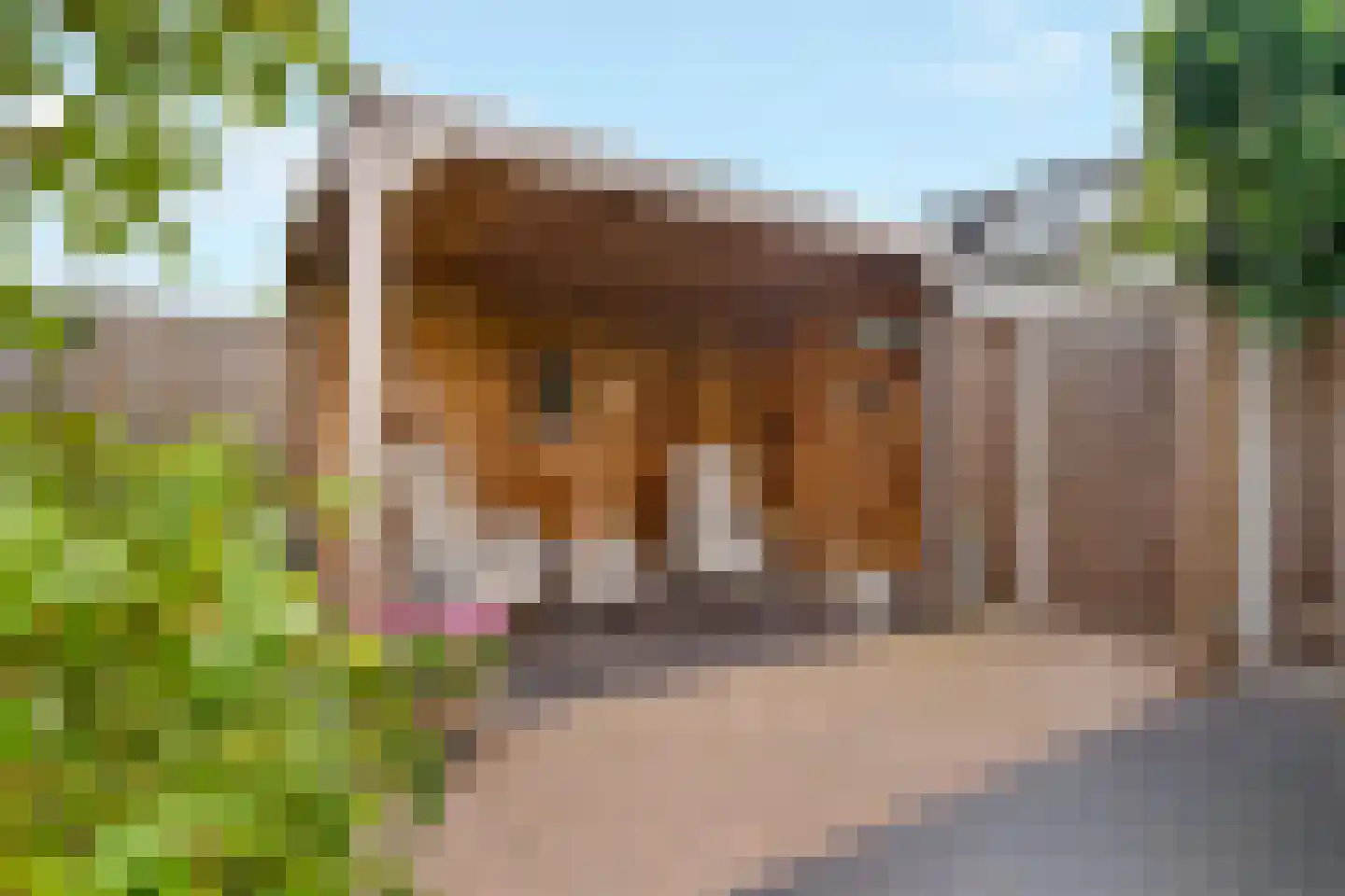 Labyrintstraat 9 Zwolle thumbnail 36