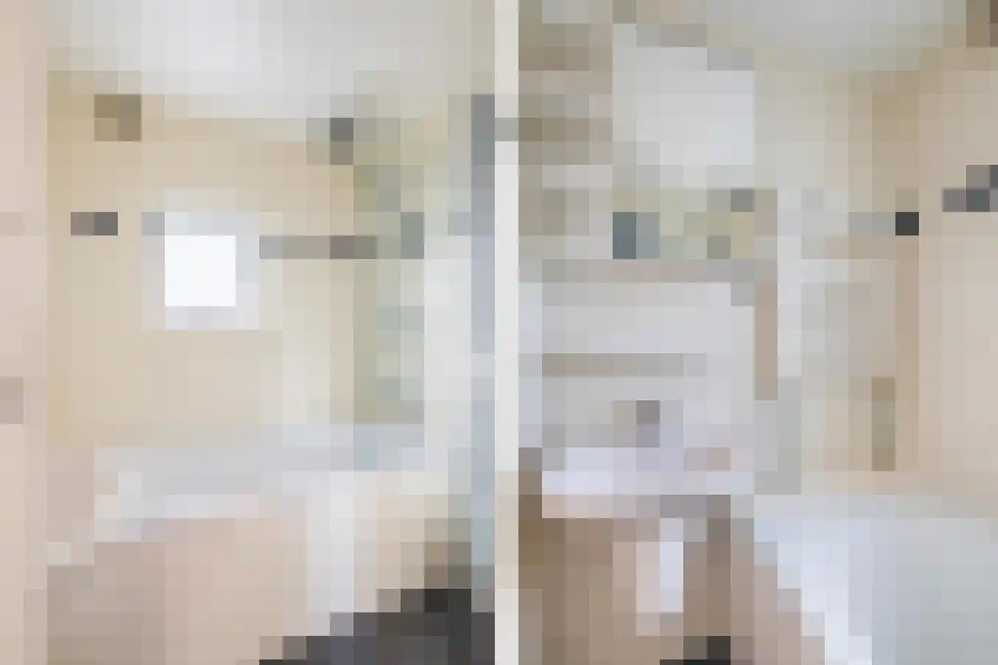 Lachappellestraat 27 Breda thumbnail 26