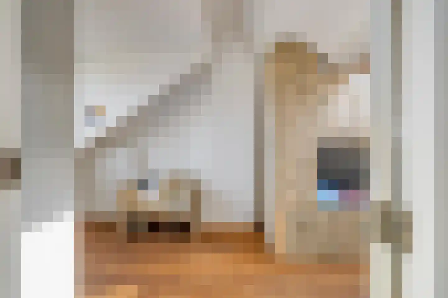 Lachappellestraat 27 Breda thumbnail 29