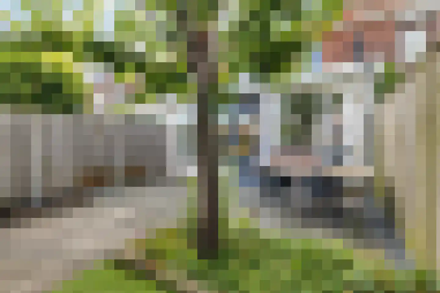 Lachappellestraat 27 Breda thumbnail 36