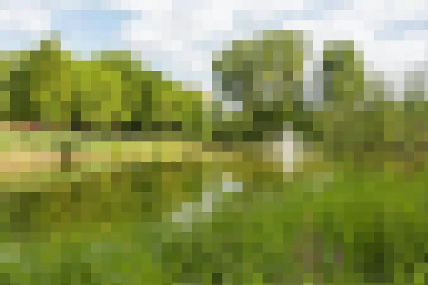 Lachappellestraat 27 Breda thumbnail 38