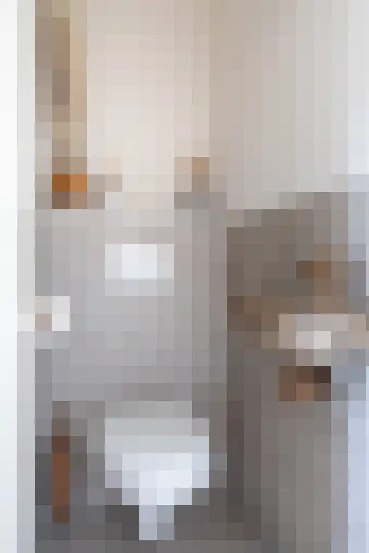 Lachappellestraat 41 Breda thumbnail 20