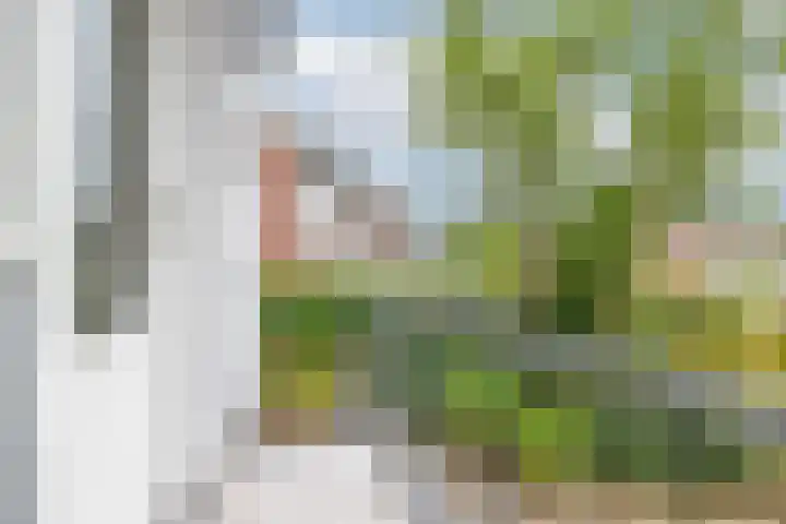 Lachappellestraat 41 Breda thumbnail 21