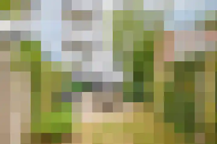 Lachappellestraat 41 Breda thumbnail 22