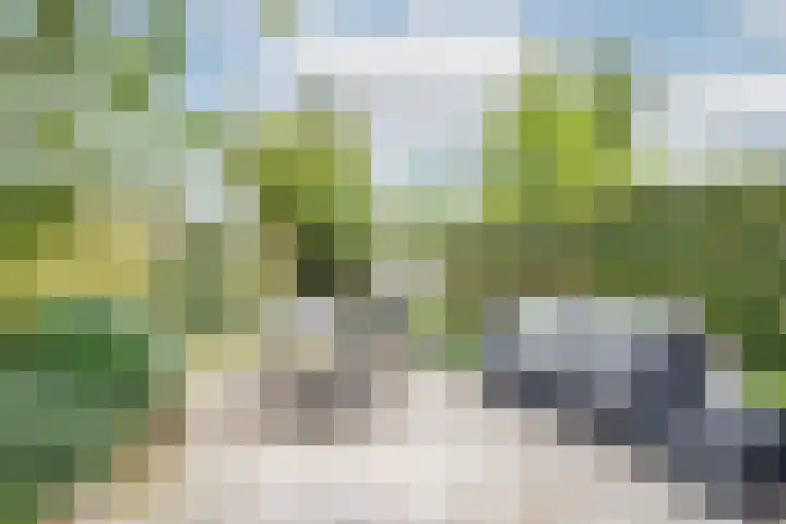 Lachappellestraat 41 Breda thumbnail 5