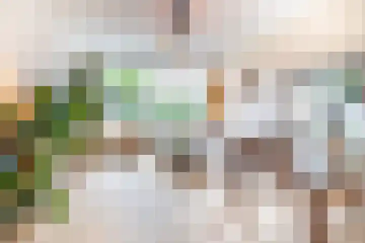 Lachappellestraat 41 Breda thumbnail 8