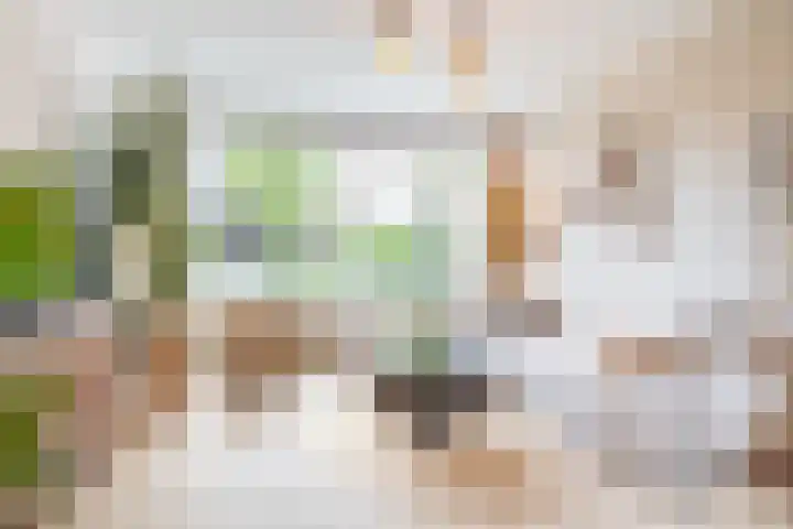 Lachappellestraat 41 Breda thumbnail 9
