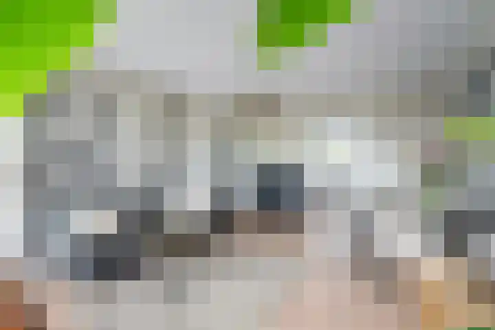 Lachappellestraat 45 B Breda thumbnail 10