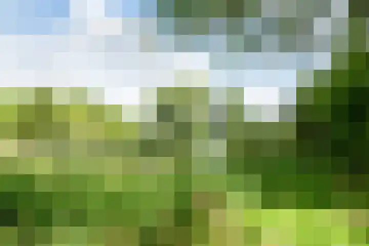 Lachappellestraat 45 B Breda thumbnail 34