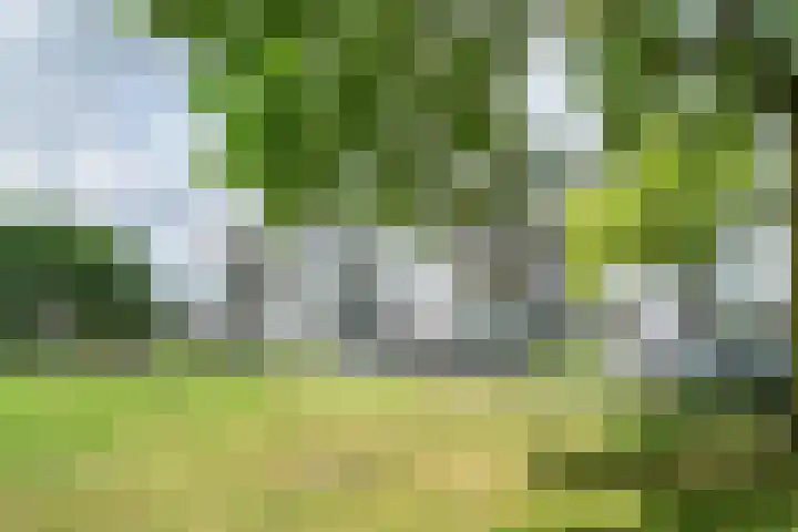 Lachappellestraat 45 B Breda thumbnail 35