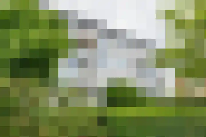 Lachappellestraat 45 B Breda thumbnail 37