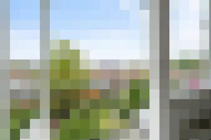 Lachappellestraat 45 B Breda thumbnail 4