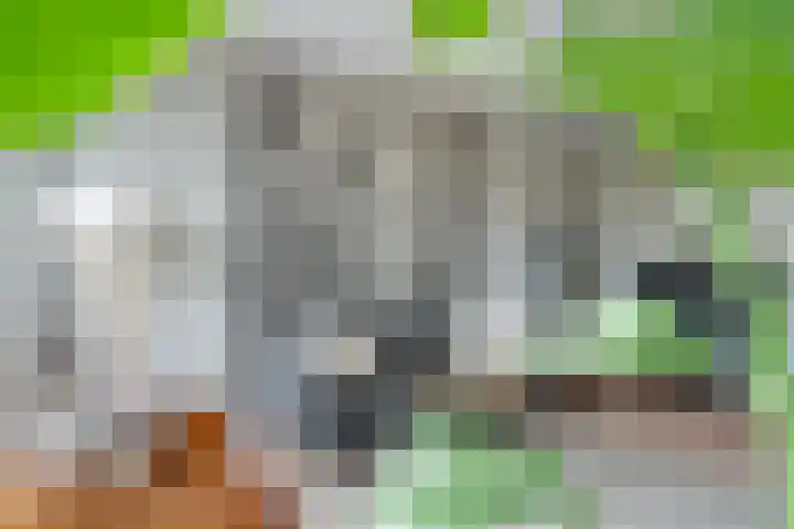 Lachappellestraat 45 B Breda thumbnail 8
