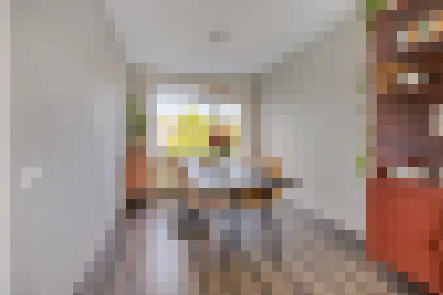 Lachappellestraat 47 A Breda thumbnail 18