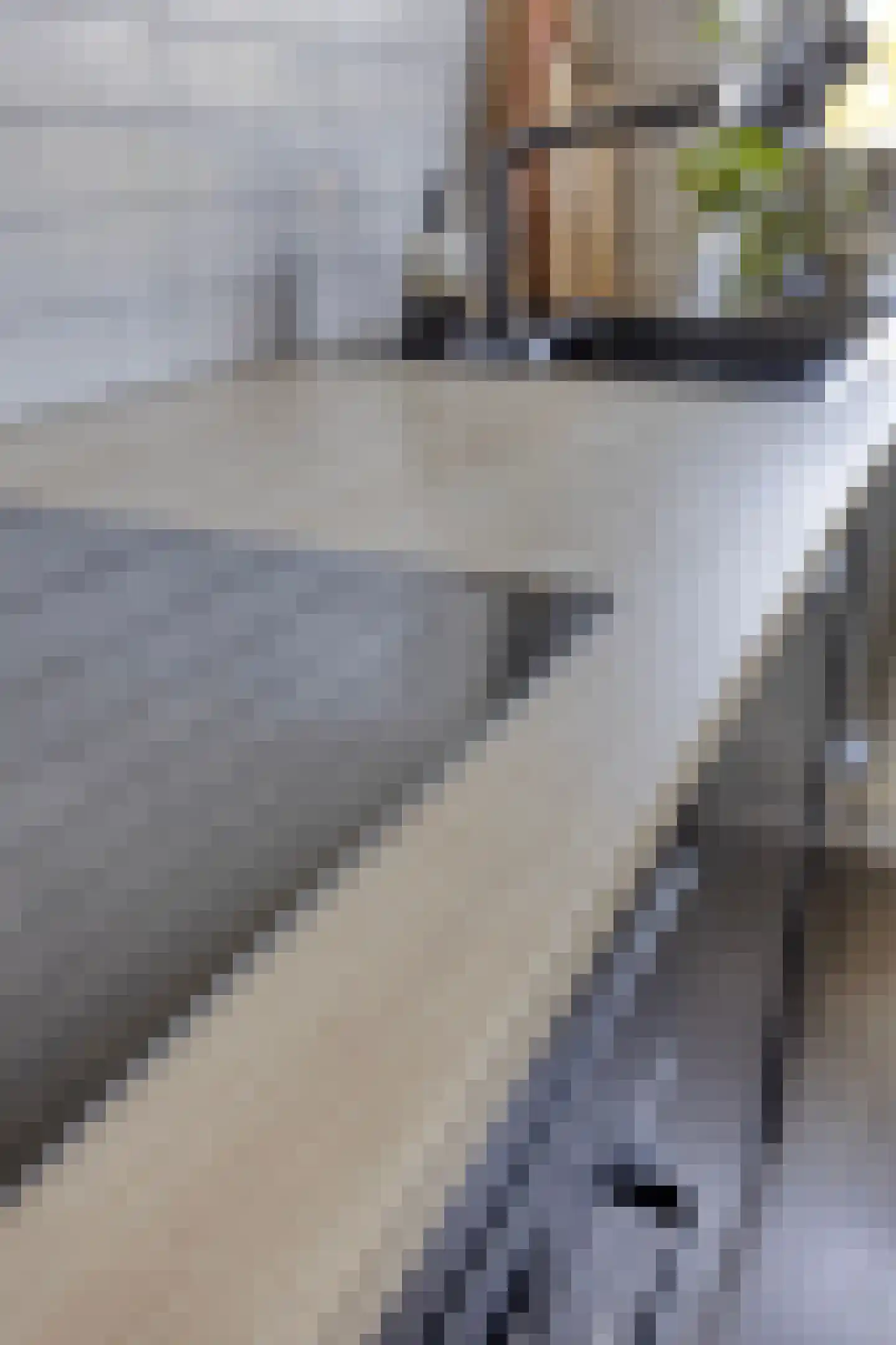 Lachappellestraat 47 A Breda thumbnail 23