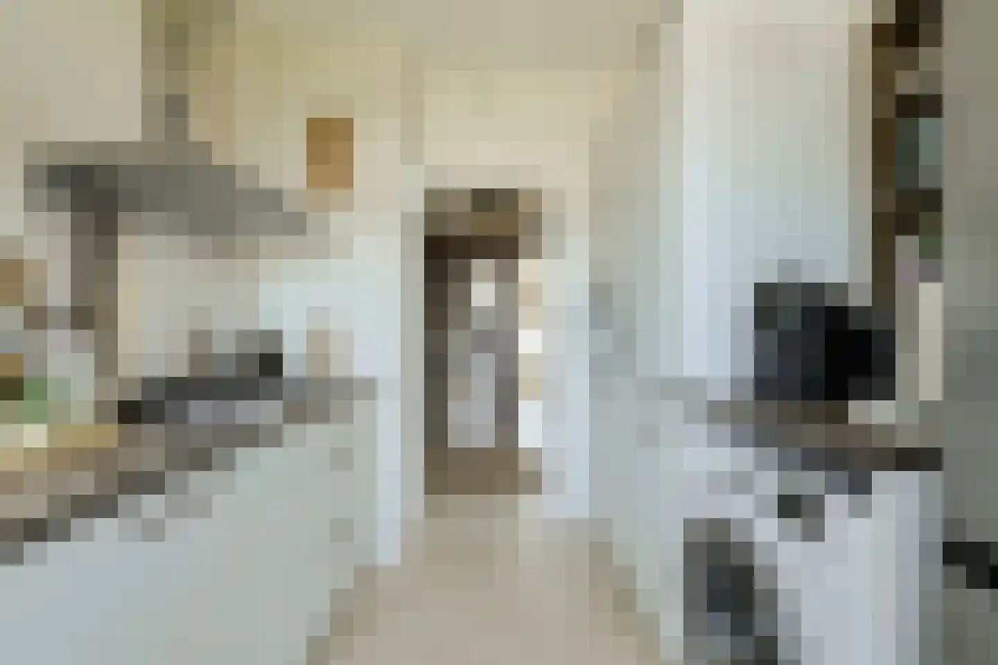 Lachappellestraat 49 B Breda thumbnail 16