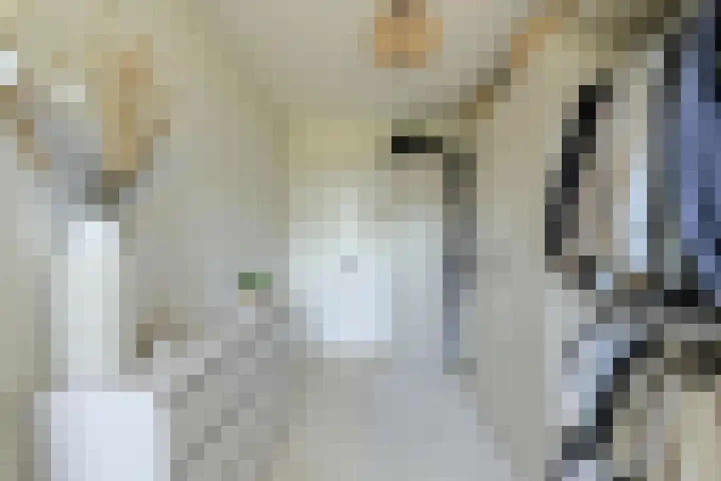 Lachappellestraat 49 B Breda thumbnail 28