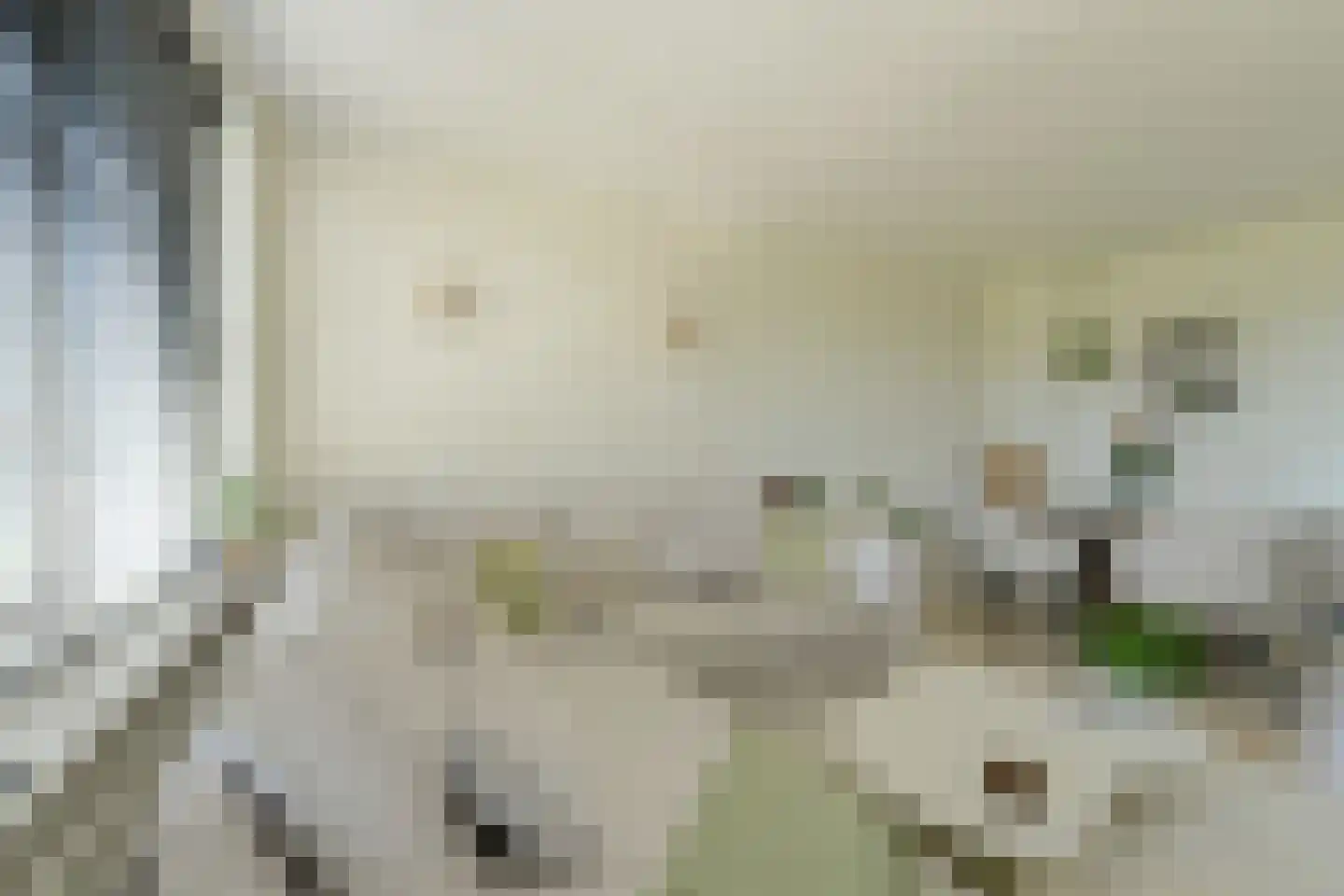 Lachappellestraat 49 B Breda thumbnail 7
