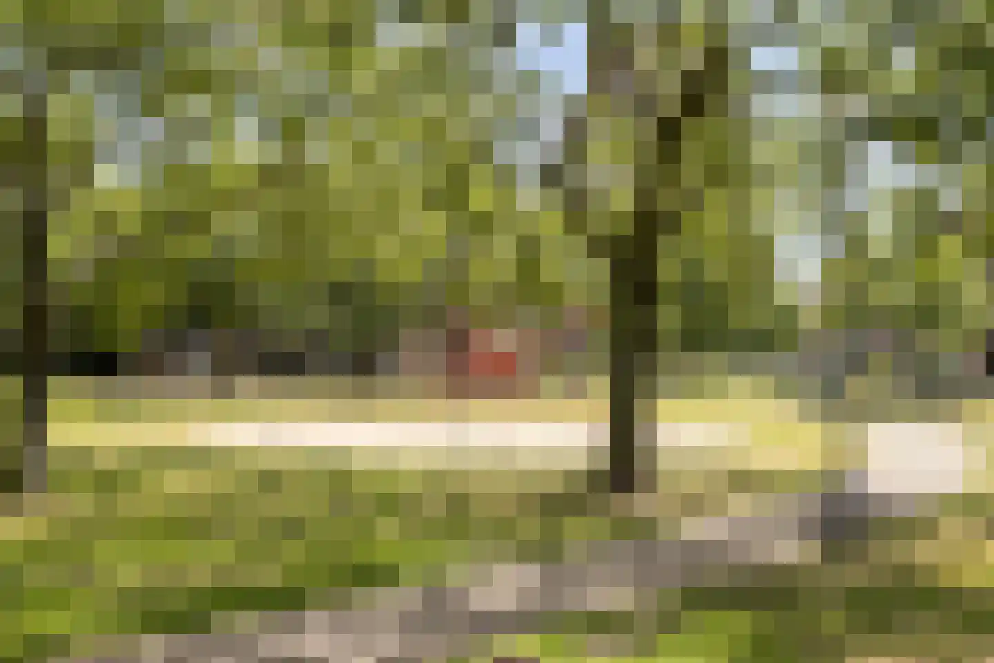 Lachappellestraat 57 B Breda thumbnail 23