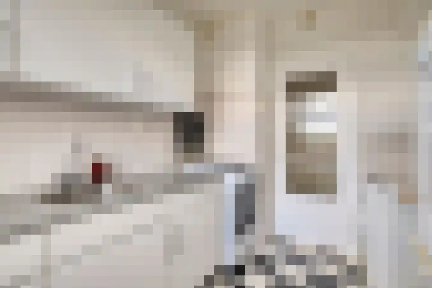 Lachappellestraat 57 C Breda thumbnail 11