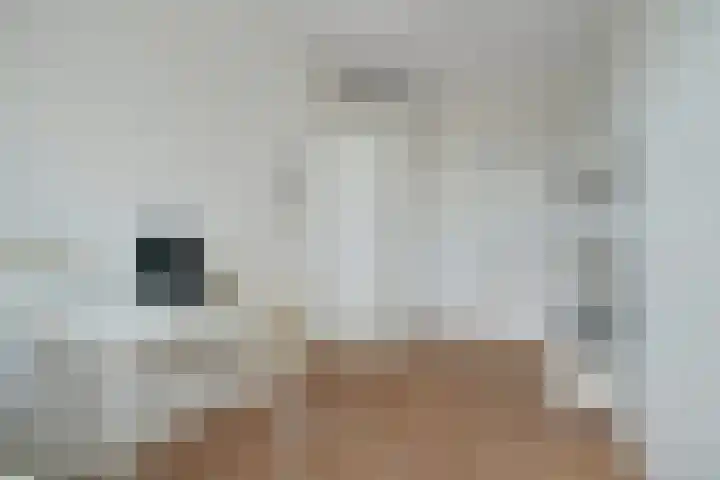Lachappellestraat 67 B Breda thumbnail 16